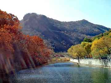 管家婆黑白马报图库，辽机集团